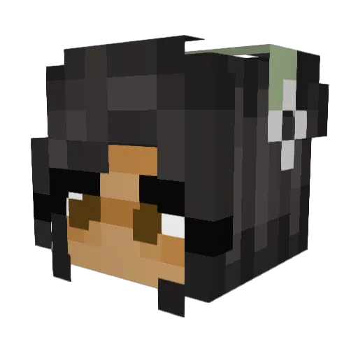 the_wisegurl Minecraft avatar head, 3D render