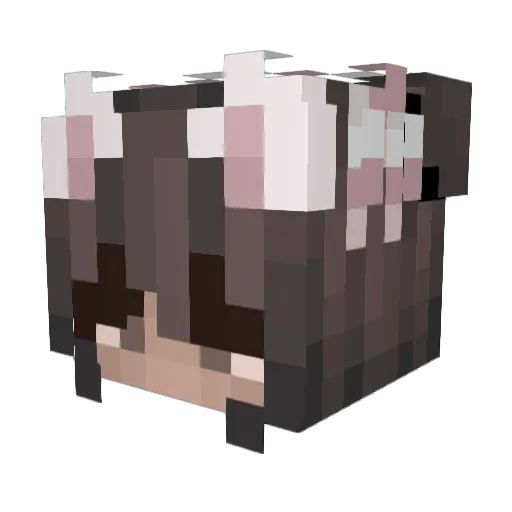 the_zimme Minecraft avatar head, 3D render