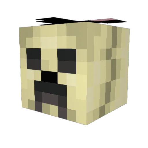theawsomeleo Minecraft avatar head, 3D render