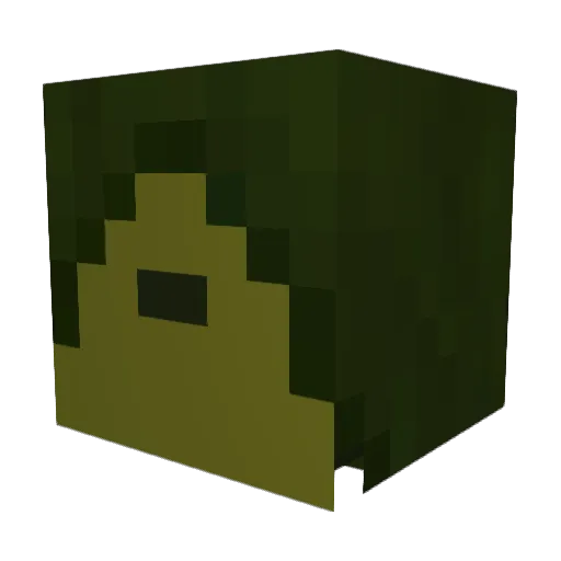 thebaconator136 Minecraft avatar head, 3D render