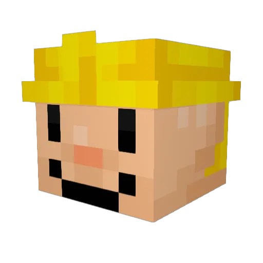 thebest885 Minecraft avatar head, 3D render