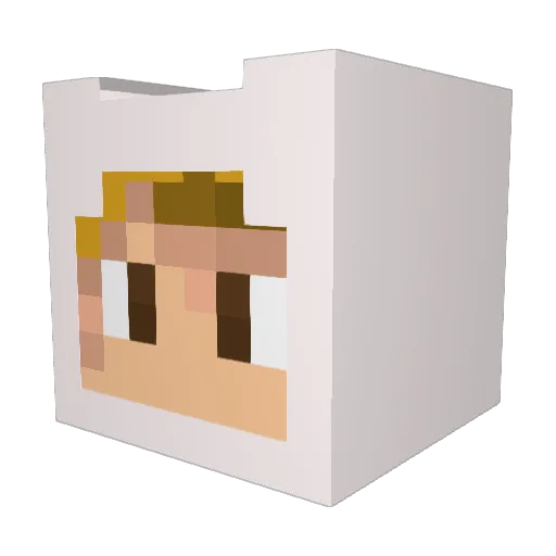 thebigboymoose Minecraft avatar head, 3D render