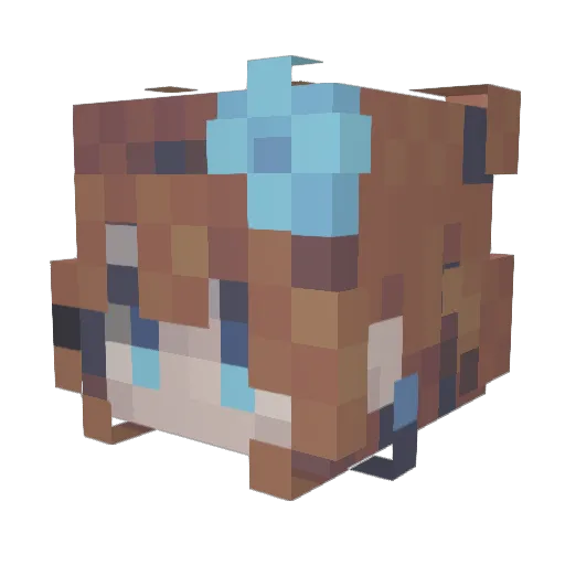theboiofallbois Minecraft avatar head, 3D render