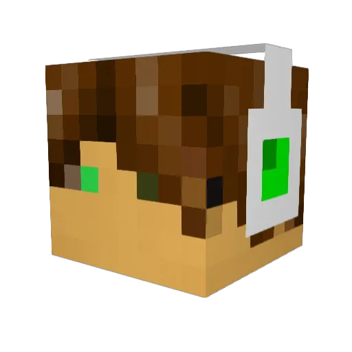 thebowman101 Minecraft avatar head, 3D render