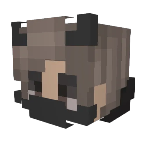 thebubbleninja Minecraft avatar head, 3D render