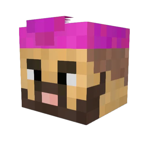 thecaddo Minecraft avatar head, 3D render