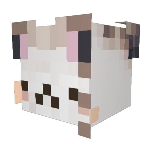 thechickpea Minecraft avatar head, 3D render