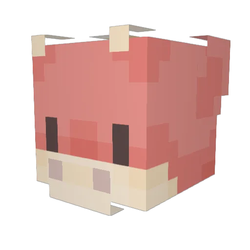 thecoolman9999 Minecraft avatar head, 3D render