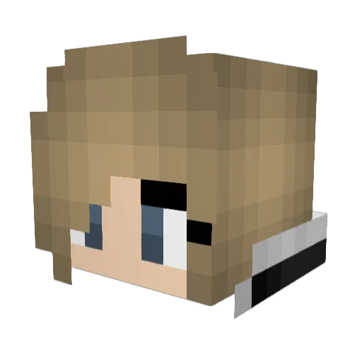 thecoopmode782 Minecraft avatar head, 3D render