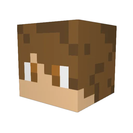 thecrafter9123 Minecraft avatar head, 3D render