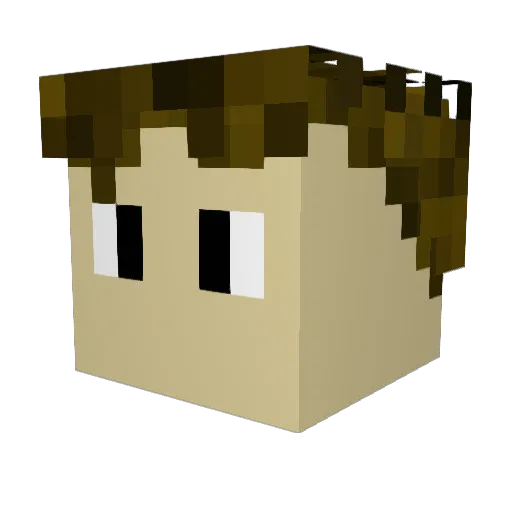 thecrazycase Minecraft avatar head, 3D render