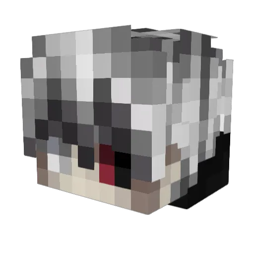 thedankesttt Minecraft avatar head, 3D render
