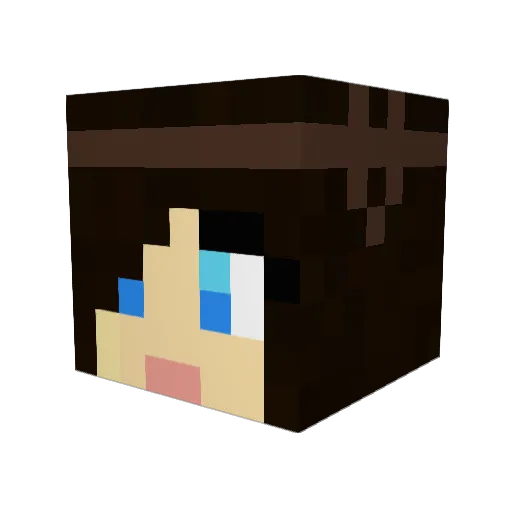 theduckster420 Minecraft avatar head, 3D render