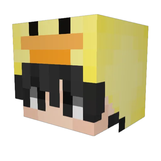 theduckwithacat Minecraft avatar head, 3D render