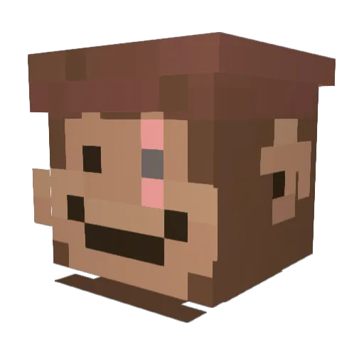 thedungman Minecraft avatar head, 3D render