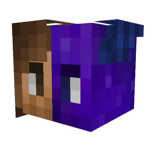 theeJRook Minecraft avatar head, 3D render