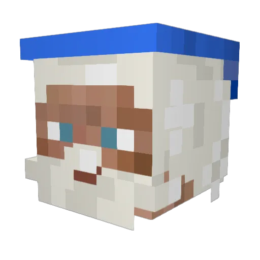 theelectrowiz Minecraft avatar head, 3D render