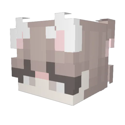 theelitefun Minecraft avatar head, 3D render