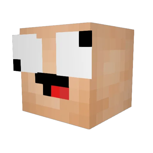 theendercrusher Minecraft avatar head, 3D render
