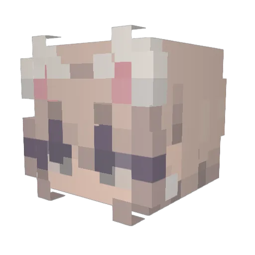 theenesdoubleyou Minecraft avatar head, 3D render