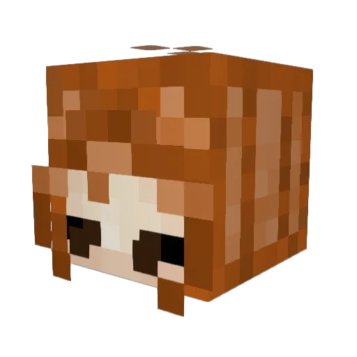 theepichebrew Minecraft avatar head, 3D render
