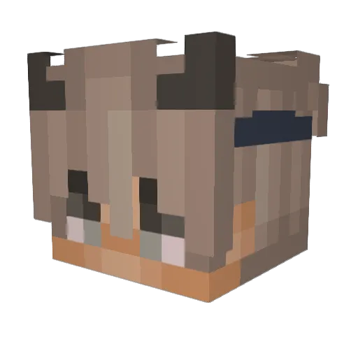 theessenceofwall Minecraft avatar head, 3D render