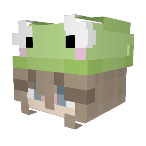 thef0sk Minecraft avatar head, 3D render