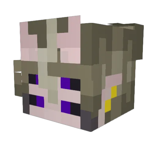 thefatheroftime Minecraft avatar head, 3D render