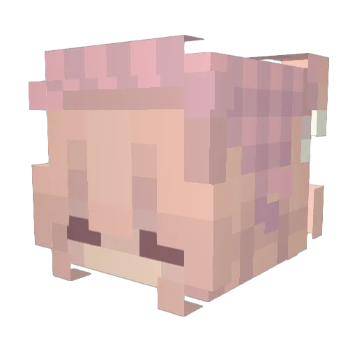 thefish_123 Minecraft avatar head, 3D render