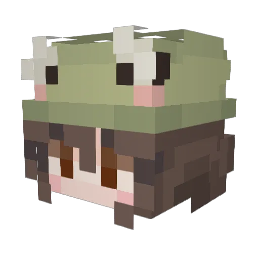 thefishiestfish Minecraft avatar head, 3D render