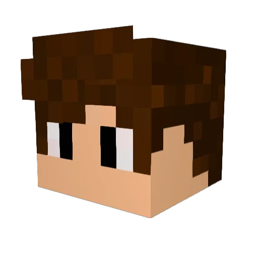 theflashplaye Minecraft avatar head, 3D render