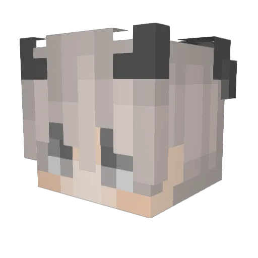 thefluidwolf Minecraft avatar head, 3D render