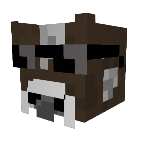 theflyingcow202 Minecraft avatar head, 3D render