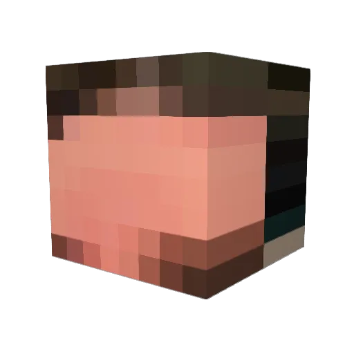 theflyinghippo27 Minecraft avatar head, 3D render