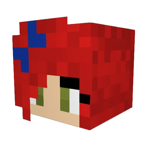 theflyingraisin Minecraft avatar head, 3D render