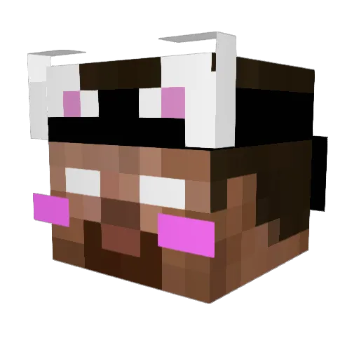 theflyingwater Minecraft avatar head, 3D render