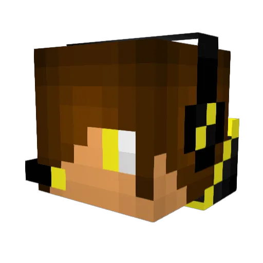 thefoot1234 Minecraft avatar head, 3D render