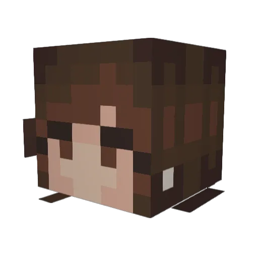 thefoulplay Minecraft avatar head, 3D render