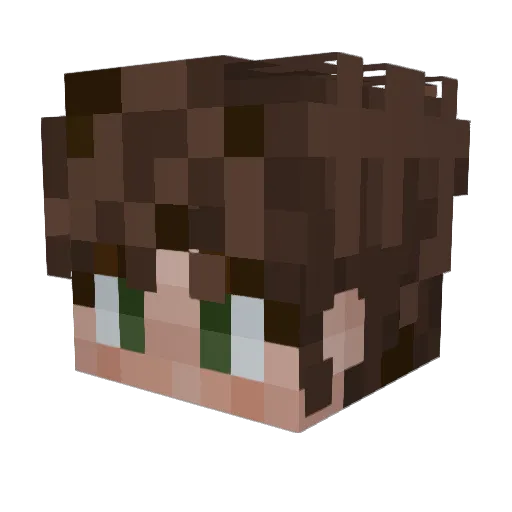 thefox2208 Minecraft avatar head, 3D render
