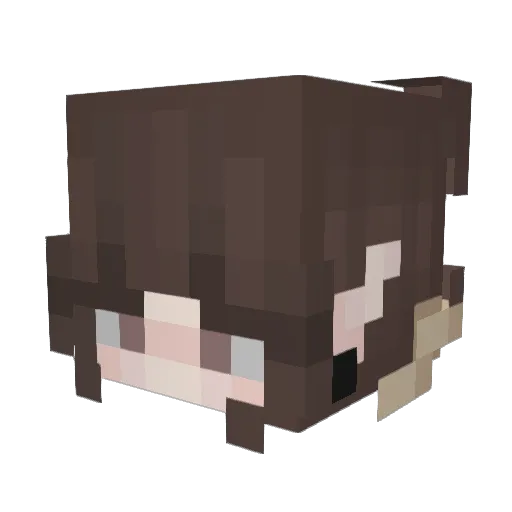 thegalaxee Minecraft avatar head, 3D render