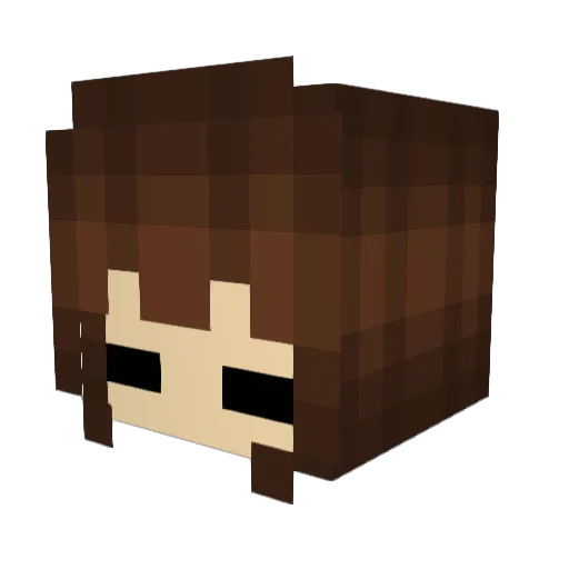 thegameboykid13 Minecraft avatar head, 3D render