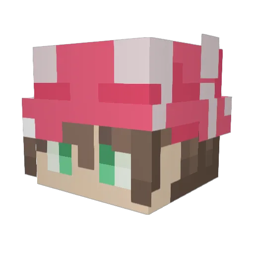thegamer_71_ Minecraft avatar head, 3D render