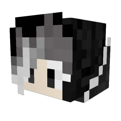 thegamerlinkon Minecraft avatar head, 3D render