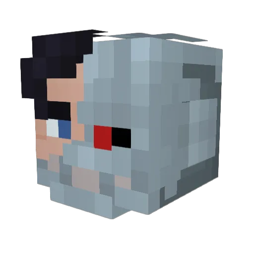 thegamingclich Minecraft avatar head, 3D render