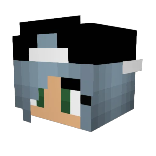 thegamingwolf105 Minecraft avatar head, 3D render