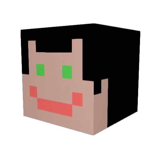 thegirl206 Minecraft avatar head, 3D render