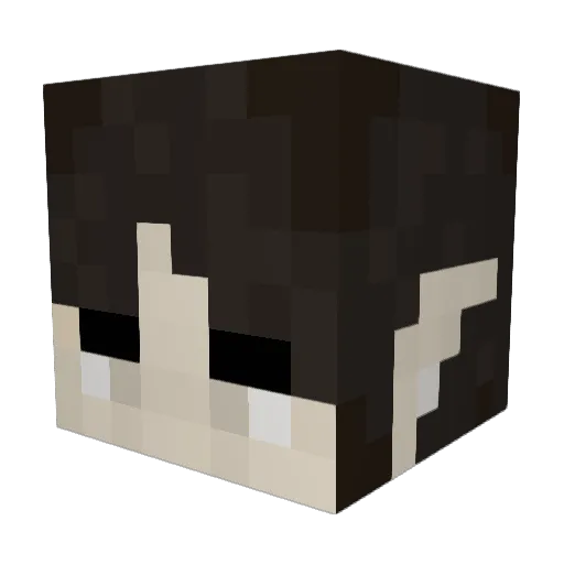 thegoodkiller123 Minecraft avatar head, 3D render