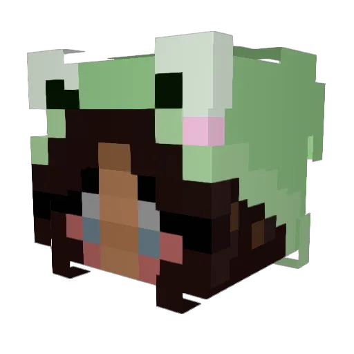 thegreenhat Minecraft avatar head, 3D render