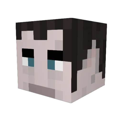 theguy658 Minecraft avatar head, 3D render