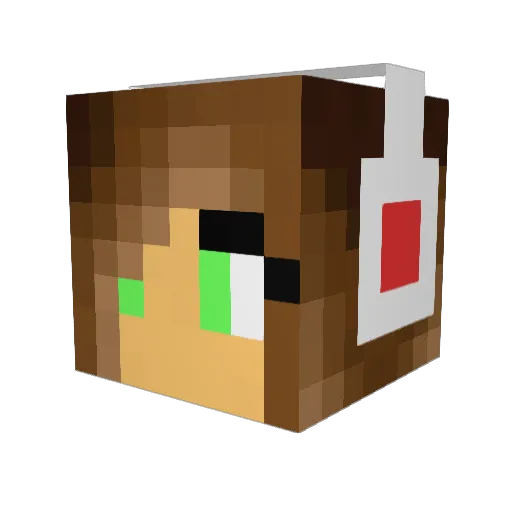 theguyovrther Minecraft avatar head, 3D render